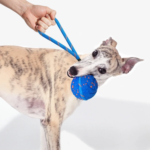 Інтерактивна іграшка для собак Cheerble Wicked Ball Air Rope Royal Blue (CWQ03B) - зображення 4