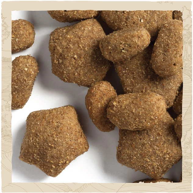 Сухий корм для собак з чутливим травленням Dog Chow Sensitive з лососем 2.5 кг - зображення 7