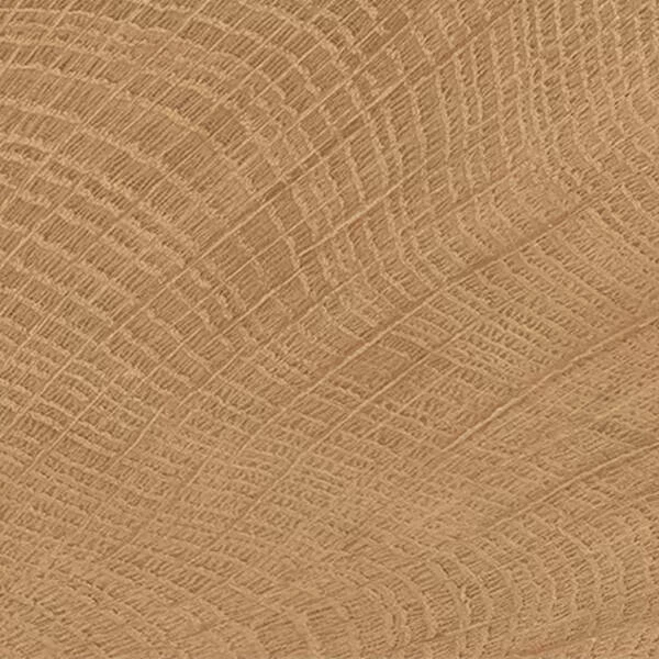 Керамограніт Emil Ceramica (Provenza) W-Circles ENJE WCI Walnut 10х10 см - изображение 2