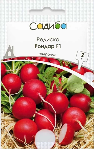 Редис Рондар F1, 2 г, Садиба - Фото 1 Редис Рондар F1, 2 г, Садиба - изображение 1