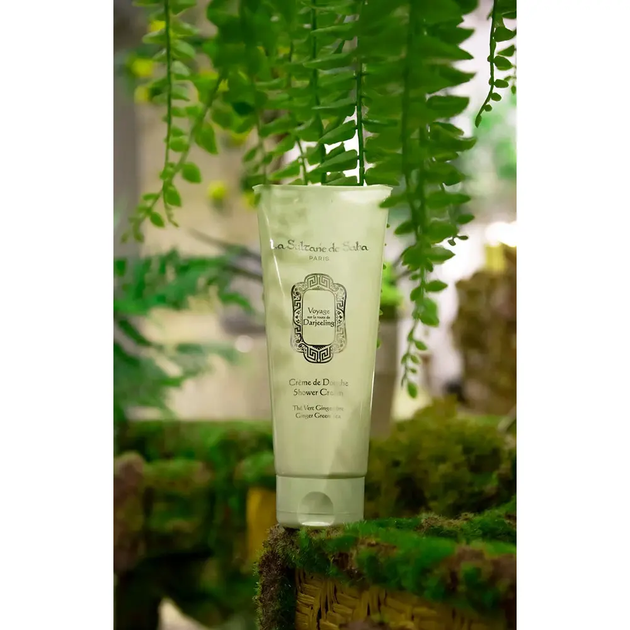 Молочко для тела Зеленый чай Имбирь La Sultane De Saba Body Lotion Green Tea and Ginger 200 мл 3700448601186 - изображение 4