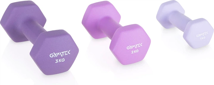Zestaw hantli neoprenowych na stojaku Gymtek G-05296 (5905399052966) - obraz 6