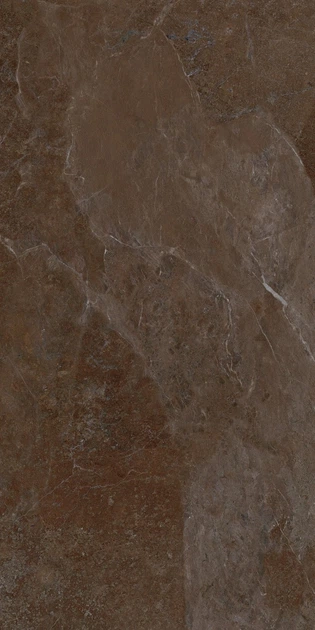 Керамогранітна плитка Allore Group Mariya Brown F P R Mat 60x120 - изображение 3