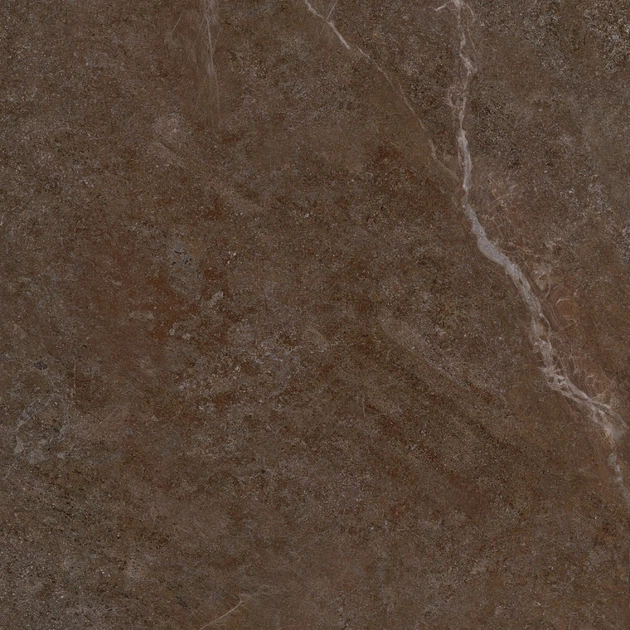 Керамогранітна плитка Allore Group Mariya Brown F P R Mat 60x60 - изображение 2