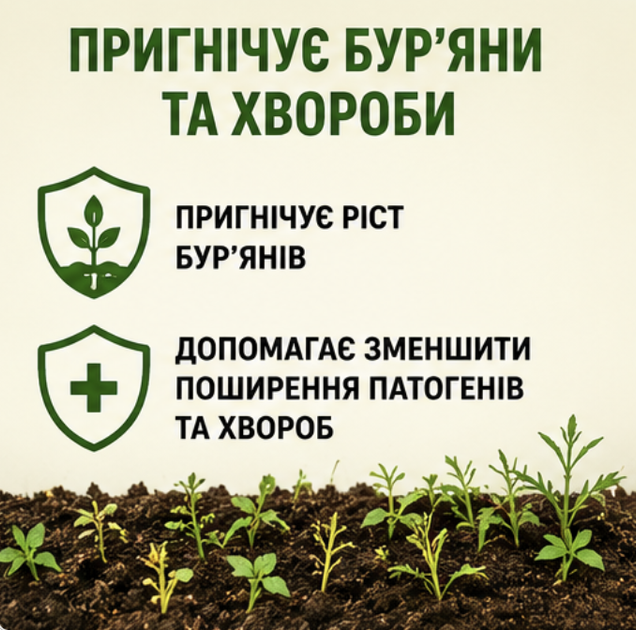 Гірчиця жовта 1кг - сидерат для покращання структури землі, знищення бур'яну - Фото 4 Гірчиця жовта 1кг - сидерат для покращання структури землі, знищення бур'яну - зображення 4