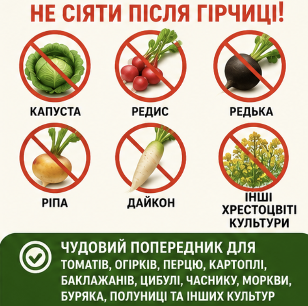 Гірчиця жовта 1кг - сидерат для покращання структури землі, знищення бур'яну - Фото 5 Гірчиця жовта 1кг - сидерат для покращання структури землі, знищення бур'яну - зображення 5
