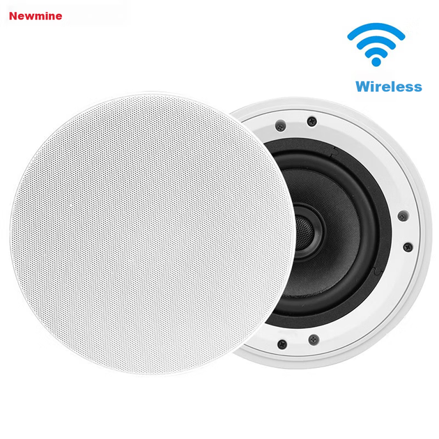 Колонка потолочная Newmine D9 беспроводная коаксиальная с FM - изображение 4