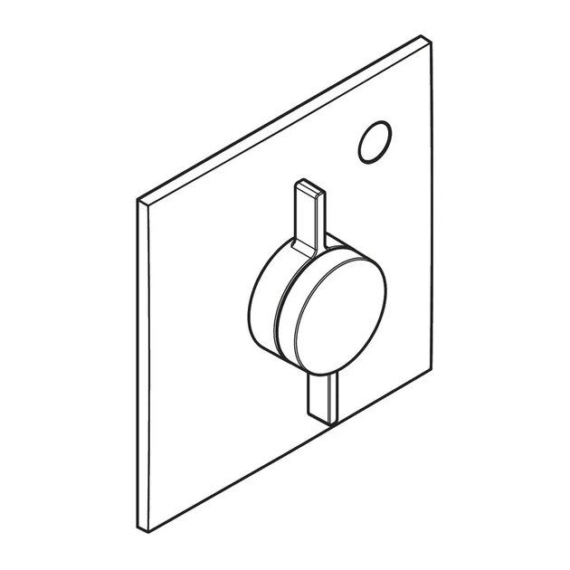 HANSGROHE DuoTurn E Змішувач прихованого монтажу, бронза (75617140) - Фото 3 HANSGROHE DuoTurn E Змішувач прихованого монтажу, бронза (75617140) - зображення 3