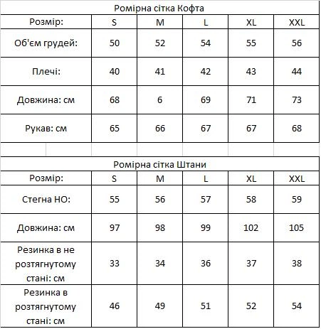 Літньо-осінньо-весняний Костюм Hugo жіночий, зіп худі штани лампас, графітовий, розмір L - Фото 2 Літньо-осінньо-весняний Костюм Hugo жіночий, зіп худі штани лампас, графітовий, розмір L - изображение 2
