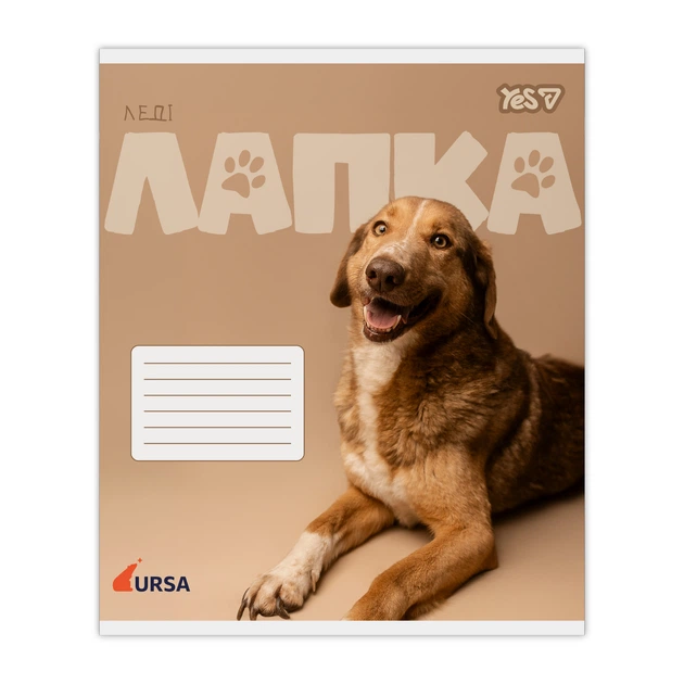 Зошит 24 аркуші = YES 768957 Ursa (20) /768957/ - зображення 4