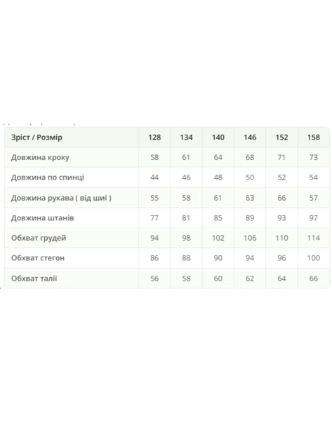 Дитячий велюровий костюм Дасті з принтом (кофта+штани) CVETKOV FAMILY MARK 152 Сірий (cvet2000000276601) - Фото 2 Дитячий велюровий костюм Дасті з принтом (кофта+штани) CVETKOV FAMILY MARK 152 Сірий (cvet2000000276601) - изображение 2