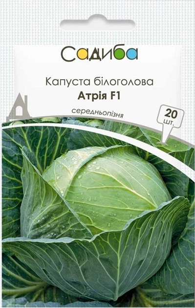 Капуста белокочанная Атрия F1, 20 шт., Садиба - Фото 1 Капуста белокочанная Атрия F1, 20 шт., Садиба - изображение 1