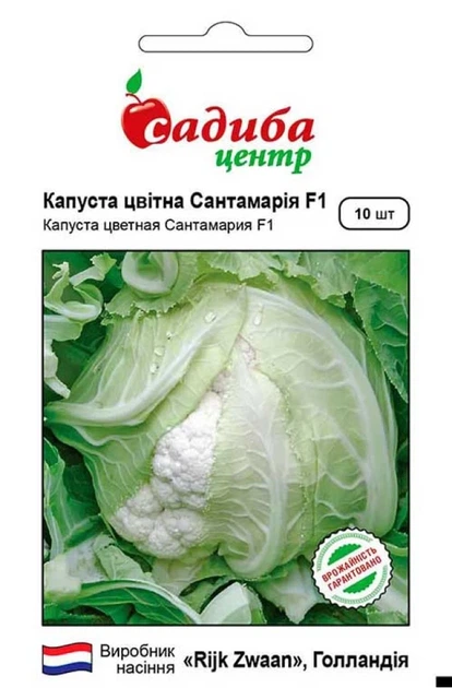 Капуста цветная Санта Мария F1, 10 шт., СЦ - Фото 1 Капуста цветная Санта Мария F1, 10 шт., СЦ - изображение 1