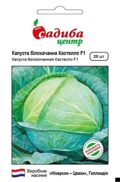 Капуста белокочанная Кастелло F1, 20 шт., СЦ - Фото 1 Капуста белокочанная Кастелло F1, 20 шт., СЦ - изображение 1