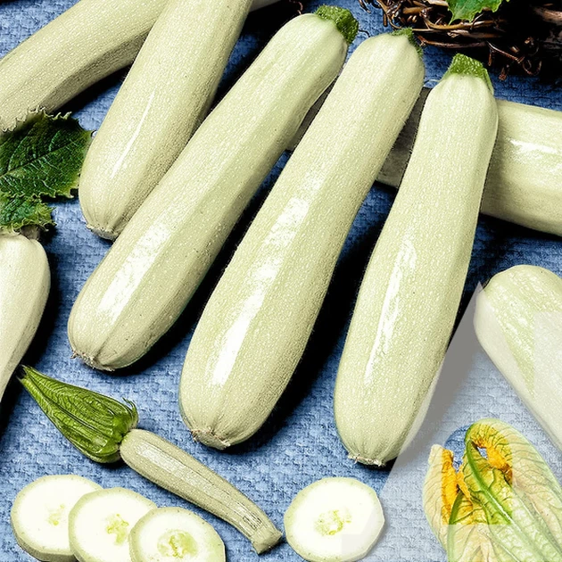 Кабачок Лонгвайт, 10 г., Садиба - изображение 3