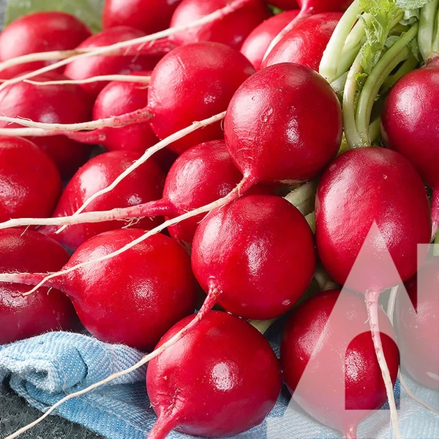 Редис Алекс, 10 г, Садиба - Фото 2 Редис Алекс, 10 г, Садиба - изображение 2