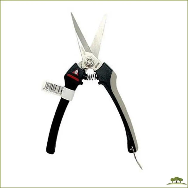 Секатор Bellota 3624-INOX.B для сбора винограда - изображение 4