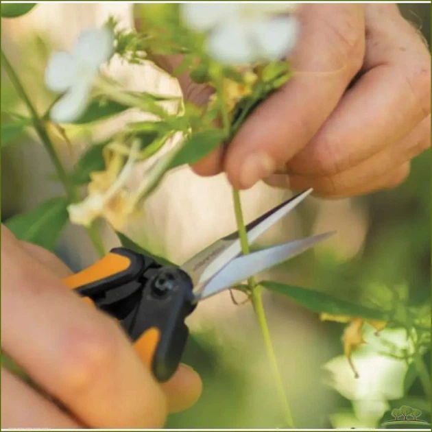 Ножницы Fiskars Solid Micro-Tip SP13 для растений и цветов - Фото 6 Ножницы Fiskars Solid Micro-Tip SP13 для растений и цветов - изображение 6