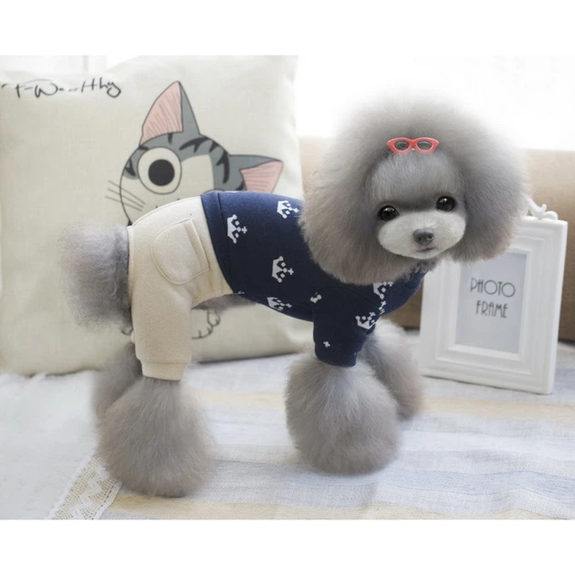 Костюм для собак бежевые штаны, принт Короны на спинке, синий S Cheepet (zoo0006125) - изображение 3