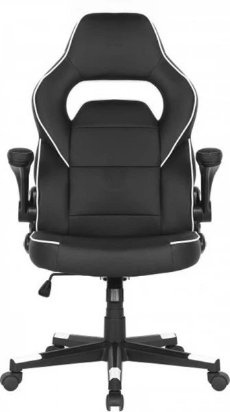Кресло для геймеров 2e Gaming Hebi Black/White (2e-gc-heb-bkwt) - Фото 1 Кресло для геймеров 2e Gaming Hebi Black/White (2e-gc-heb-bkwt) - изображение 1