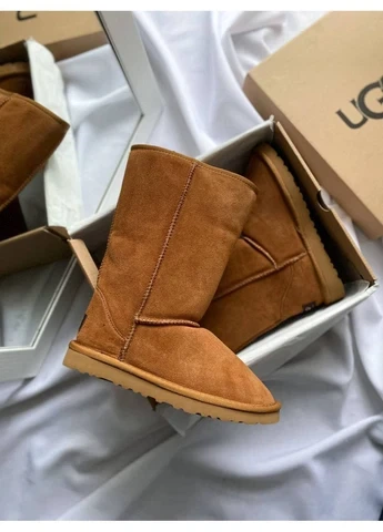 Чобітки зимові UGG Classic Tall II Boot Caramel 39 (24.5см ) ( krsUG031) - Фото 1 Чобітки зимові UGG Classic Tall II Boot Caramel 39 (24.5см ) ( krsUG031) - изображение 1
