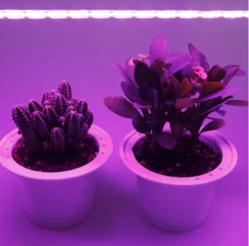 Фітострічка 3 м для рослин - USB | LED фітолампа стрічка для розсади та кімнатних рослин - Фото 3 Фітострічка 3 м для рослин - USB | LED фітолампа стрічка для розсади та кімнатних рослин - зображення 3