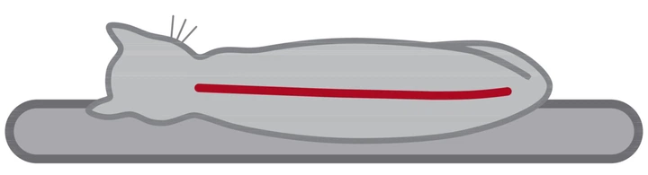 Кігтеточки для котів Trixie Emil 69х59х96 см з будиночком (TX-44930) - Фото 7 Кігтеточки для котів Trixie Emil 69х59х96 см з будиночком (TX-44930) - зображення 7