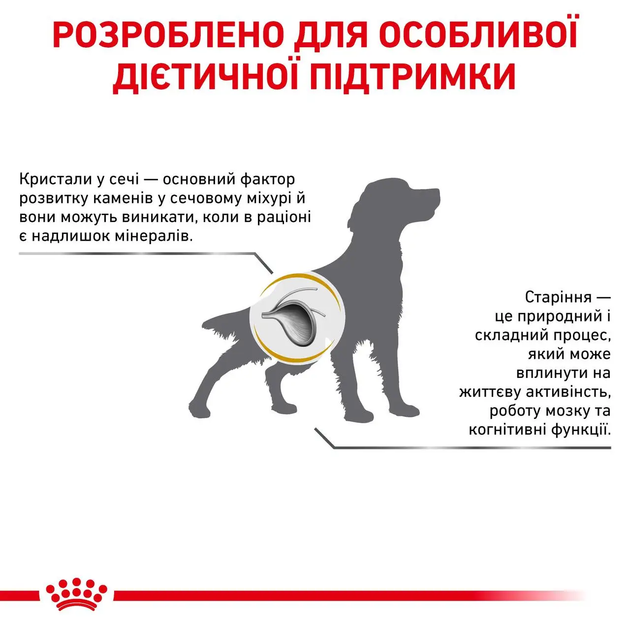 Сухой корм для собак Royal Canin Urinary S/O AGEING 7+ от 7 лет для мочевых путей 1.5 кг (R448559) - изображение 3