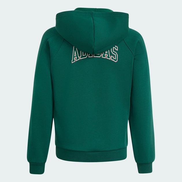 Дитяча толстовка Seasonals Collegiate Typography Junior adidas KS5142 (176) зелений (4069996340107) - зображення 2