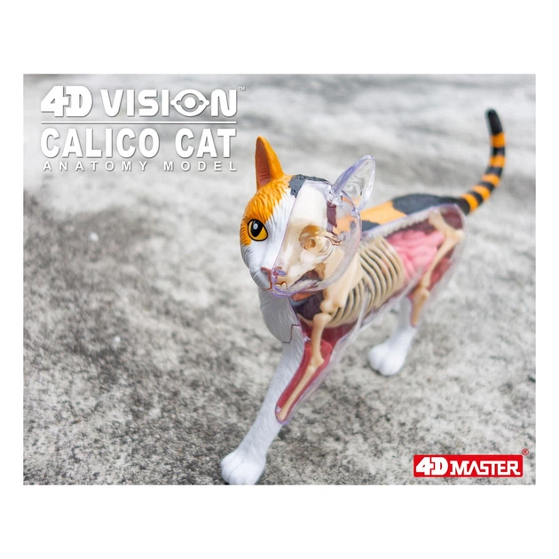 Об'ємна модель 4D Master Кіт, FM-622040 - зображення 2