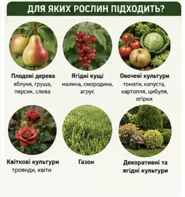 Сульфат железа (Железный купорос) 500 г — от хлороза и мха, для подкормки деревьев, кустарников и цветов - изображение 5