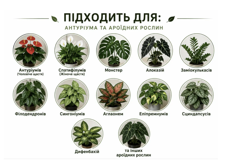 Крафтовий субстрат для антуріума, спатифілума, заміокулькаса, монстери та алоказії 3 л — ґрунт для ароїдних кімнатних рослин - Фото 4 Крафтовий субстрат для антуріума, спатифілума, заміокулькаса, монстери та алоказії 3 л — ґрунт для ароїдних кімнатних рослин - зображення 4