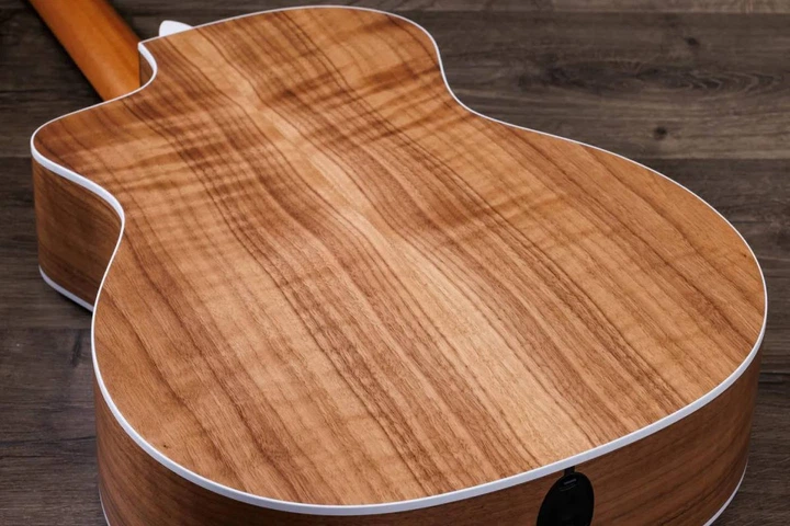 Электроакустическая гитара TAYLOR GUITARS 214CE-N - изображение 2
