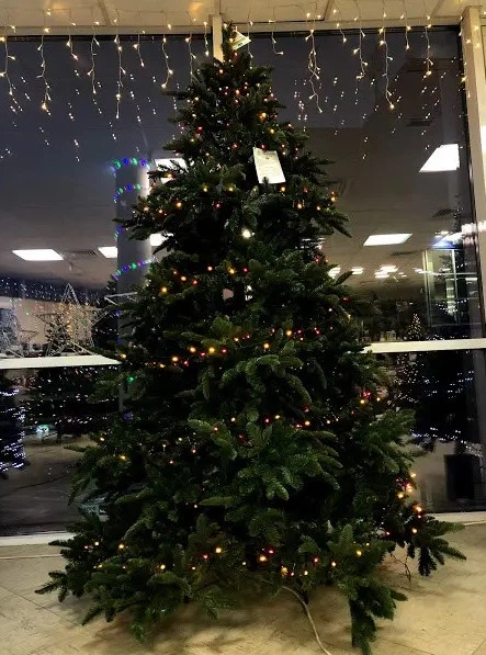 Ялинка штучна Triumph Tree Edelman Abies Nordmann de Luxe зелена 2,30м (8711473890211) - изображение 3