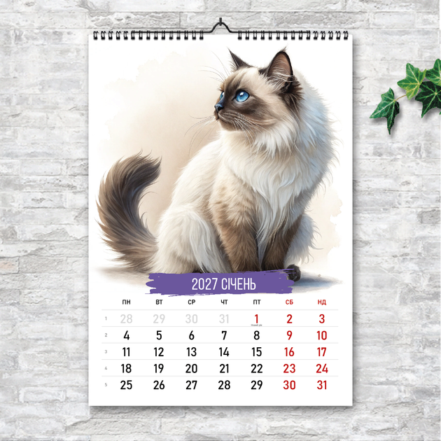 Календарь А4 (210х297 мм) перекидной настенный Коты. Портреты. 13 листов ENTERSTORE (art. 269010а4) - Фото 2 Календарь А4 (210х297 мм) перекидной настенный Коты. Портреты. 13 листов ENTERSTORE (art. 269010а4) - изображение 2