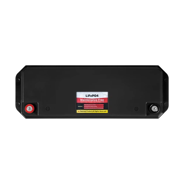 Akumulator LiFePO4 100Ah 25.6V z BMS Vipow (5901890130653) - obraz 2