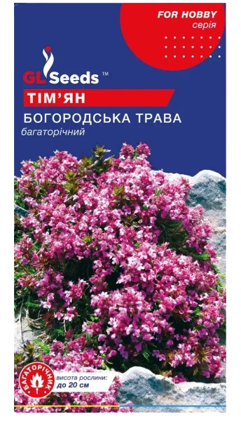 Насіння Чебрецю Богородська трава (0.15г) - Фото 1 Насіння Чебрецю Богородська трава (0.15г) - зображення 1