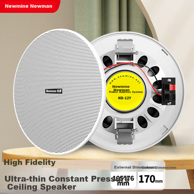 Комплект стельових динаміків Newmine R20, Bluetooth, підсилювач постійної напруги, громадське мовлення, вітальня, комерційна конференція, магазин, фон, вбудовані приховані стельові динаміки, один-чотири - Фото 2 Комплект стельових динаміків Newmine R20, Bluetooth, підсилювач постійної напруги, громадське мовлення, вітальня, комерційна конференція, магазин, фон, вбудовані приховані стельові динаміки, один-чотири - изображение 2