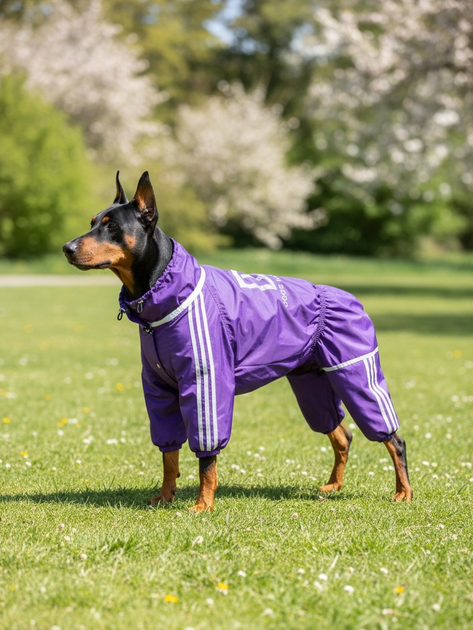 Дощовик для великих порід собак 11XL 76-77cm Корсо Мастіф Дог Dog's Happiness Фіолетовій Хлопчик 0152-01/43 - Фото 1 Дощовик для великих порід собак 11XL 76-77cm Корсо Мастіф Дог Dog's Happiness Фіолетовій Хлопчик 0152-01/43 - зображення 1