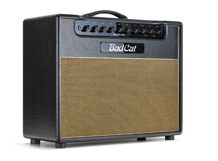 Гитарный комбоусилитель BAD CAT BLACK CAT COMBO - изображение 4