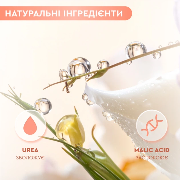 Крем для обличчя від акне для проблемної шкіри відновлюючий засіб проти прищів з пробіотиками AREDERMA ACNE FREE 50 мл - Фото 5 Крем для обличчя від акне для проблемної шкіри відновлюючий засіб проти прищів з пробіотиками AREDERMA ACNE FREE 50 мл - зображення 5