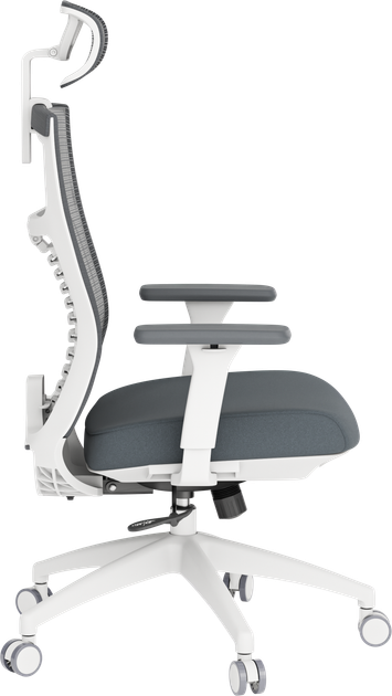 Крісло офісне OfficePro Balance OC550-W-DG-DG - изображение 4