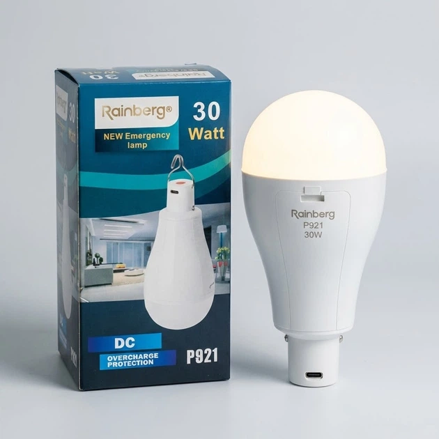 Акумуляторна LED лампа Rainberg P921 30 Вт 1500 Лм, 2×18650, підвісний USB-світильник для дому - изображение 2