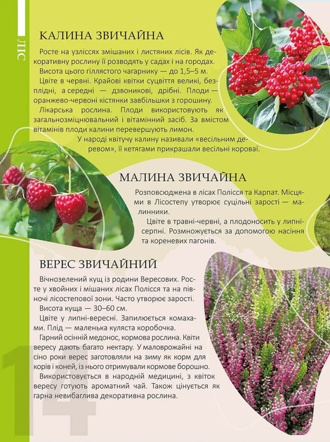 Перлини природи України (9789669890764) - Фото 3 Перлини природи України (9789669890764) - изображение 3