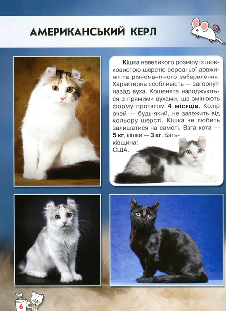 Світ навколо нас. Кішки - Тамара Протасовицька (9789669367501) - Фото 6 Світ навколо нас. Кішки - Тамара Протасовицька (9789669367501) - изображение 6