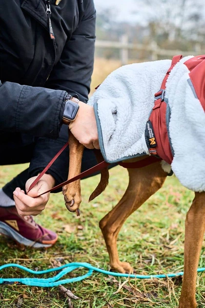 Флісова куртка для собак Trekking fleece jacket Non-stop dogwear Сірий/Винний/Бірюзовий 33 - изображение 5
