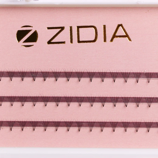 ZIDIA Cluster lashes Вії пучкові 5D C 0,07х5 mm, 3 стрічки - зображення 3