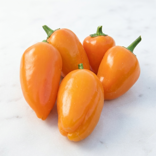 Насіння Перець гострий Халапеньйо Orange Giant, Capsicum annuum 5 шт/уп - Фото 1 Насіння Перець гострий Халапеньйо Orange Giant, Capsicum annuum 5 шт/уп - зображення 1