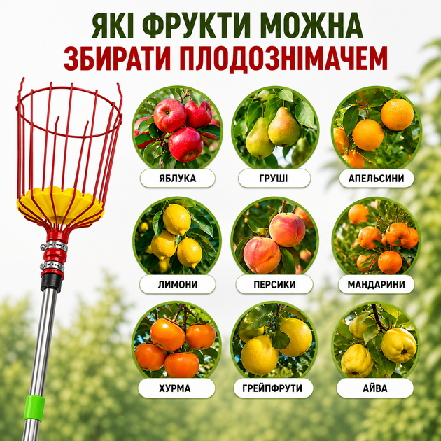 Плодознімач для збирання фруктів з телескопічною ручкою до 1,6 м - Фото 4 Плодознімач для збирання фруктів з телескопічною ручкою до 1,6 м - зображення 4