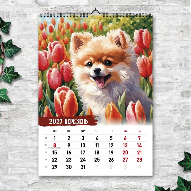 Календарь настенный перекидной ШПИЦ СОБАКА АКВАРЕЛЬ 13 ЛИСТОВ ENTERSTORE 42х29.7 см (ART 250154) - изображение 4